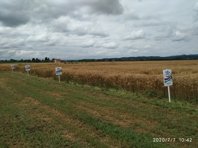 Great Importance of the Experimental Educational Cen...