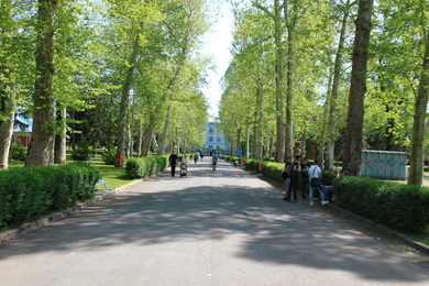 Ten Million BAM for Investments in the University Ca...