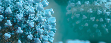 Препоруке Института за јавно здравство РС за одржава...