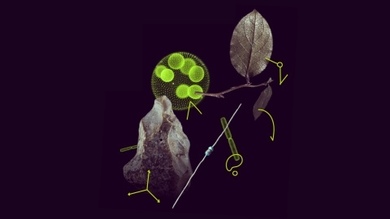 Марија Склодовска – Кири акција: Стипендије за постд...