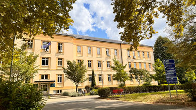 Decisions on Cash Awards for Professors and Teaching...