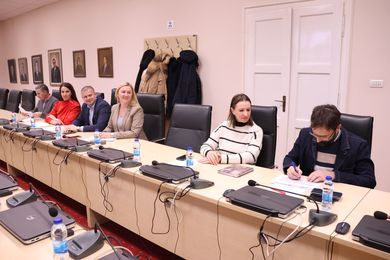 BEAMING project: A Focus Group on research in bioeco...