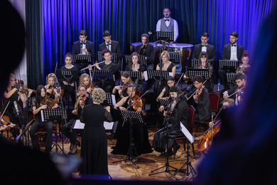 Састанак Организационог одбора ,,Дана Владе С. Милош...