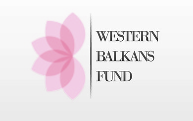 Студенту Академије умјетности Стефану Мијићу друга н...