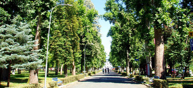 Конкурс за идејно рјешење изгледа и дизајна парковск...