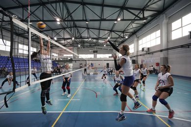 Volleyball Players of the Faculty of Physical Educat...