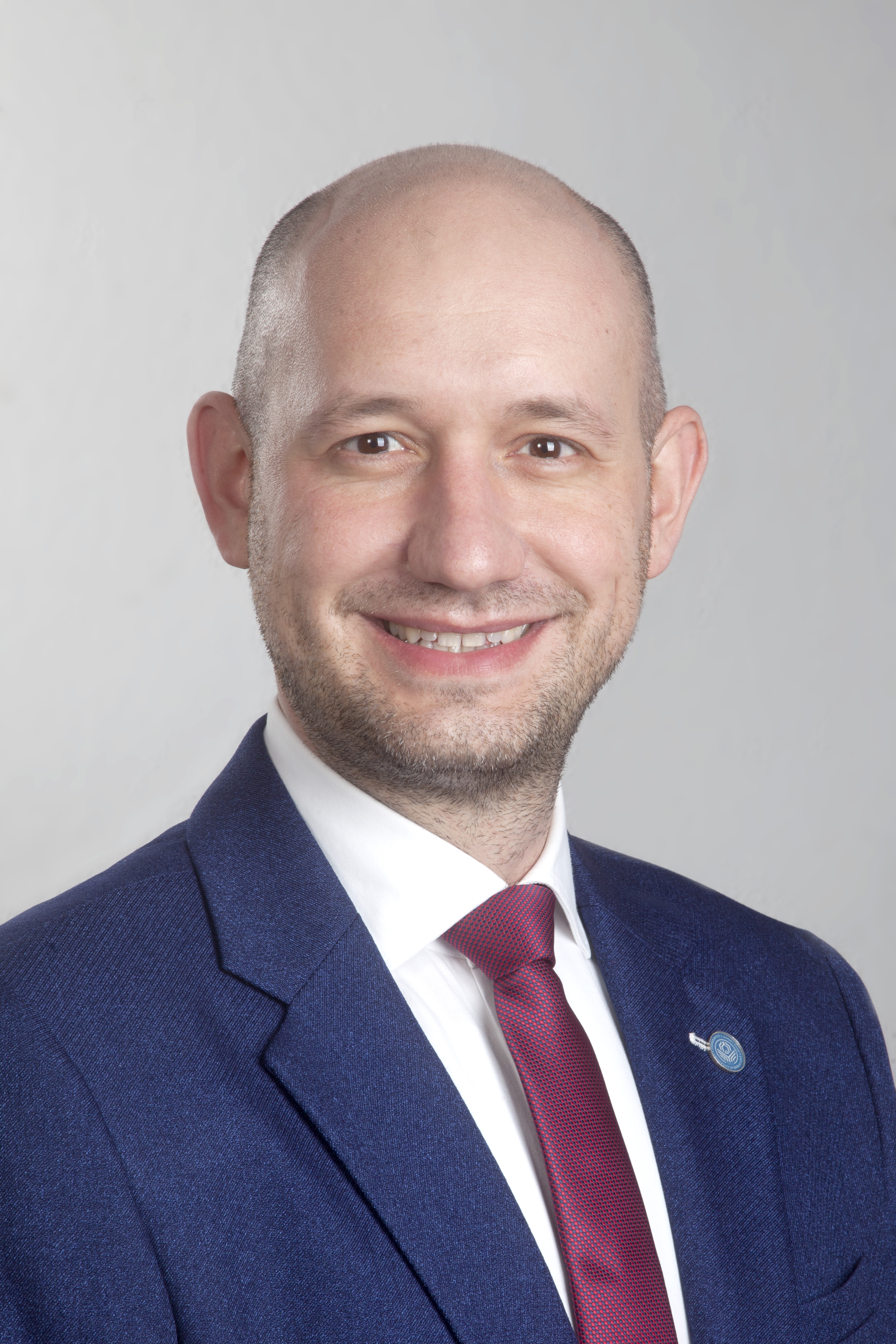 проф. др Мирослав Малиновић